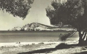AL FONDO DE LA PLAYA, EL COCODRILO ACECHA