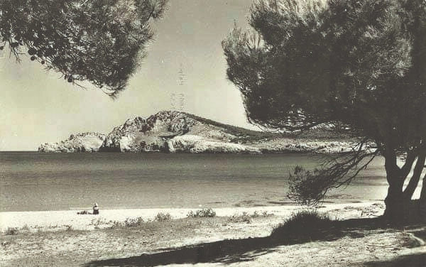 AL FONDO DE LA PLAYA, EL COCODRILO ACECHA