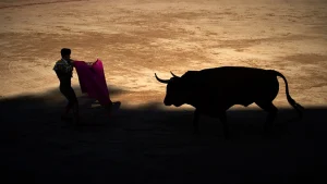 ESTAMPA ANTITAURINA CONTRA EL MALTRATO ANIMAL
